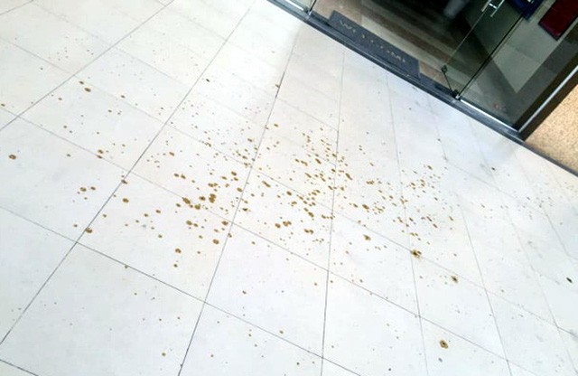 Sốc: Chất thải của người bị hắt từ tầng cao xuống sảnh chung cư ở Hà Nội-1