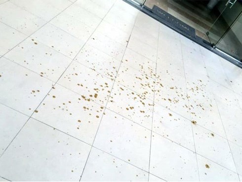 Sốc: Chất thải của người bị hắt từ tầng cao xuống sảnh chung cư ở Hà Nội