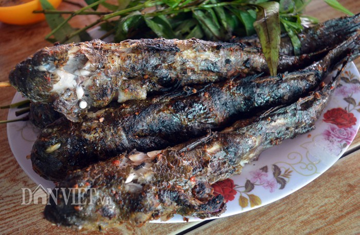 Săn loài cá kỳ lạ nhất hành tinh: Vừa biết lặn vừa biết leo cây-6