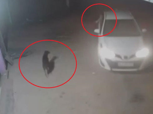 Camera ghi hình tên trộm điện thoại trong siêu thị-2