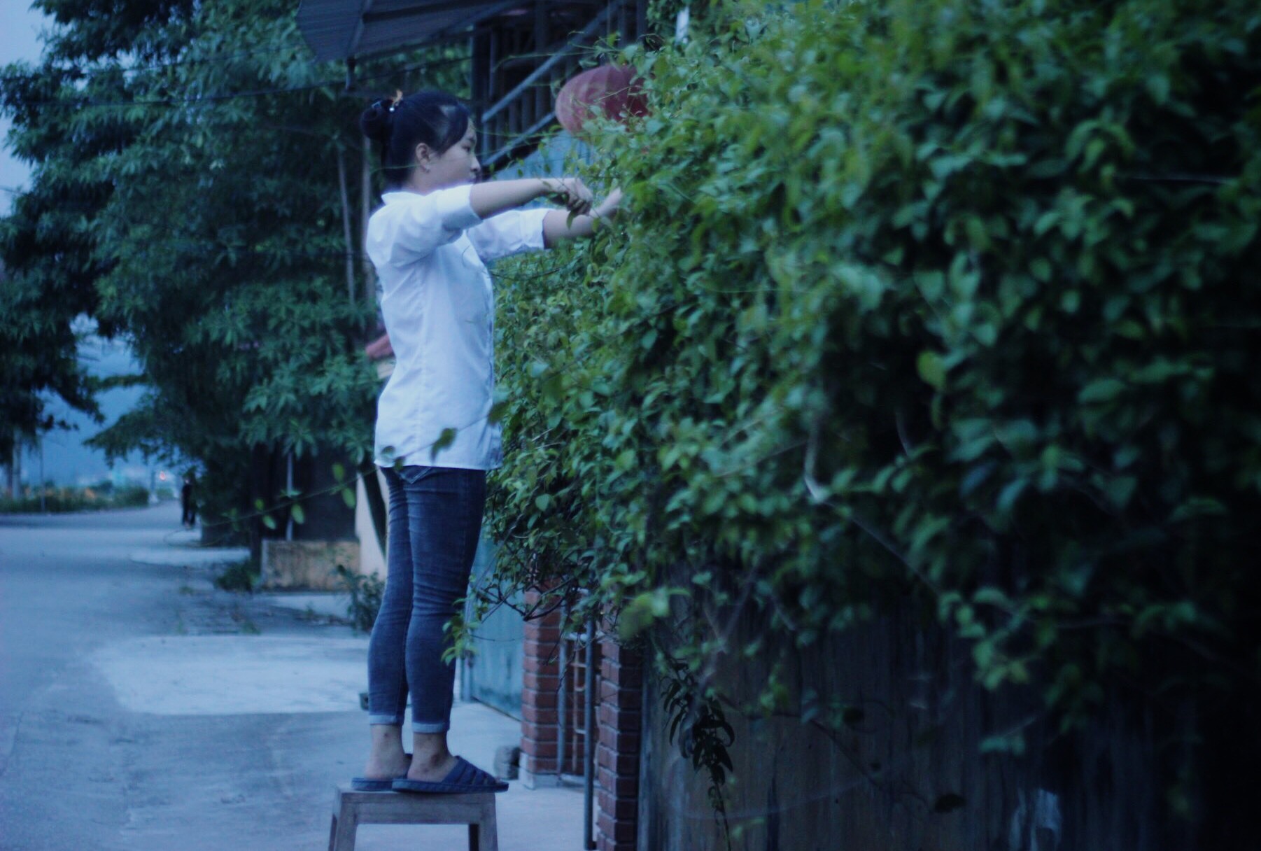 Nữ sinh mong đỗ ĐH để tổ chức đám cưới cho ông bà ngoại-8