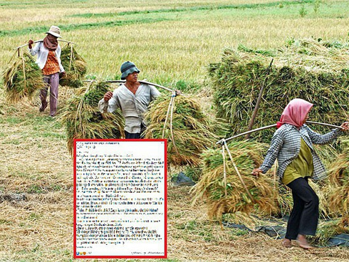 Đáp án chính thức môn Ngữ văn thi THPT quốc gia của Bộ GD-ĐT-8