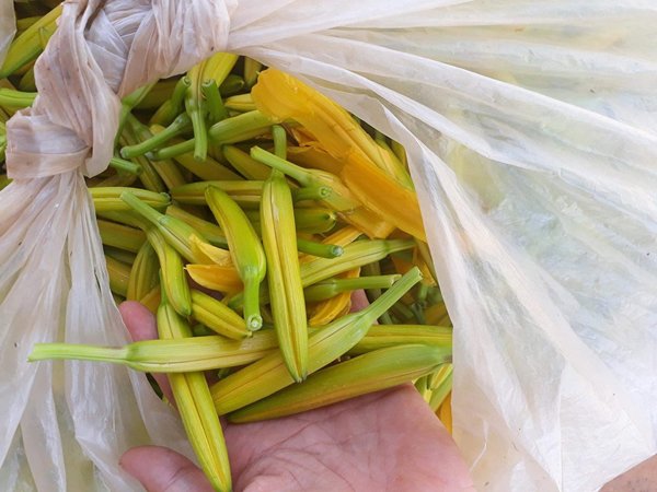 Kỳ lạ loại hoa bán theo kg, giá lên đến nửa triệu đồng vẫn cháy” hàng-1