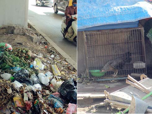 13 đoàn tàu Cát Linh - Hà Đông được cấp chứng nhận đăng kiểm tạm thời để chạy thử-3