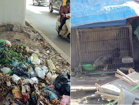 Đường sắt Cát Linh – Hà Đông: Chân nhà ga ngập tràn rác thải hôi thối, trở thành nơi nuôi nhốt gà