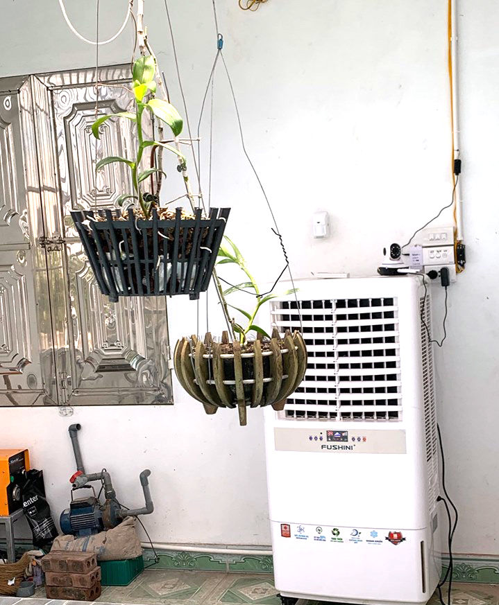 Chủ giò lan chục tỷ Người đẹp Bình Dương tiết lộ cách chăm sóc, bảo vệ cây-3