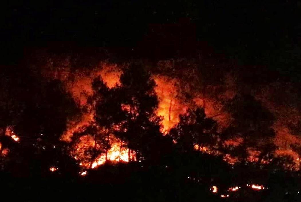 Cháy rừng lớn nhất ở Hà Tĩnh, chặn quốc lộ 1A, nghìn người dập lửa-9