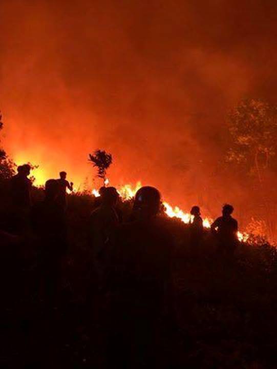 Cháy rừng lớn nhất ở Hà Tĩnh, chặn quốc lộ 1A, nghìn người dập lửa-12