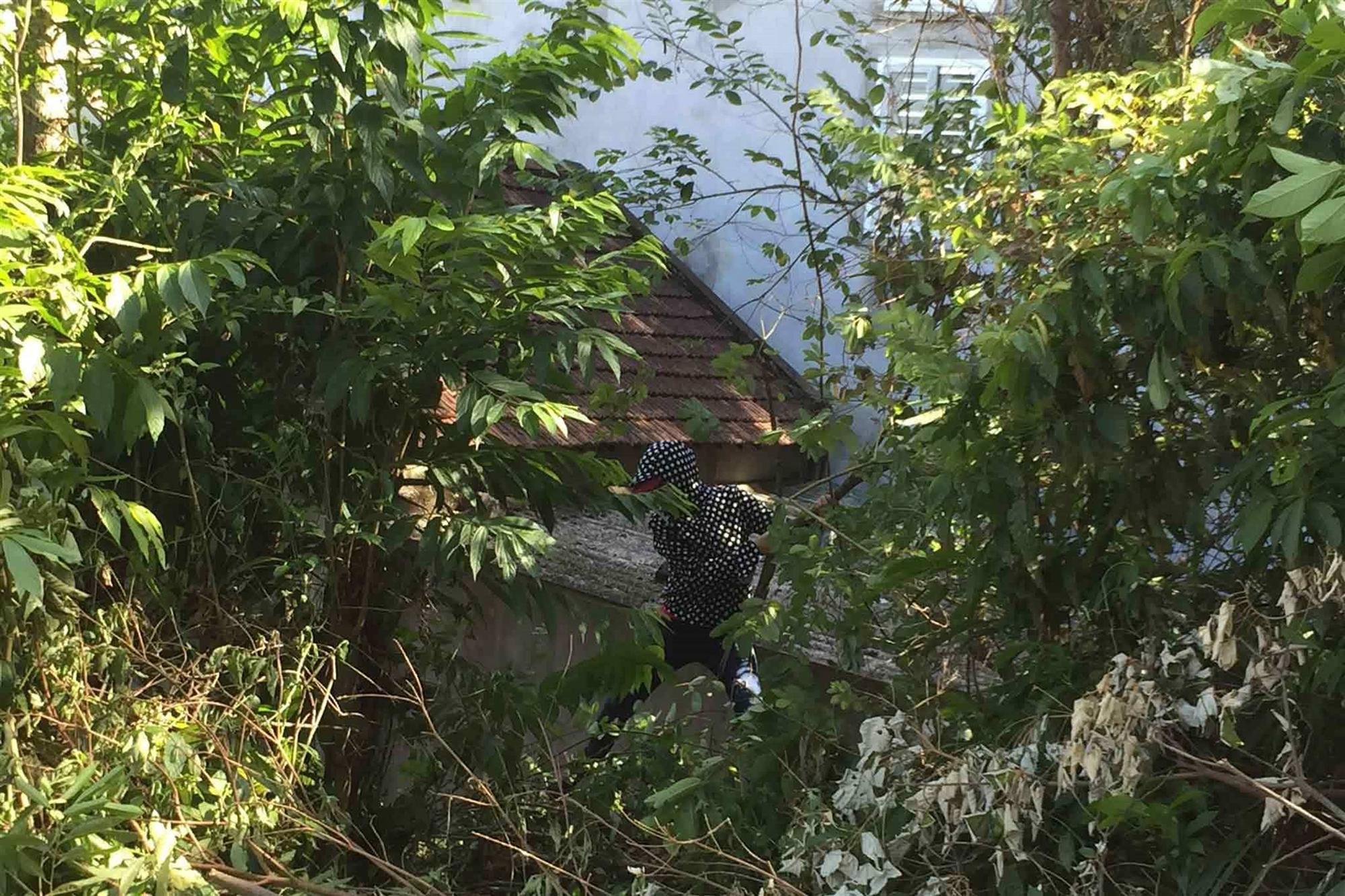 Cháy rừng lớn nhất ở Hà Tĩnh, chặn quốc lộ 1A, nghìn người dập lửa-8