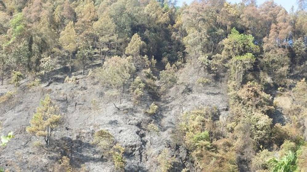 Tan hoang rừng thông Hà Tĩnh, tro than bay mịt mù sau 3 ngày hỏa hoạn-3