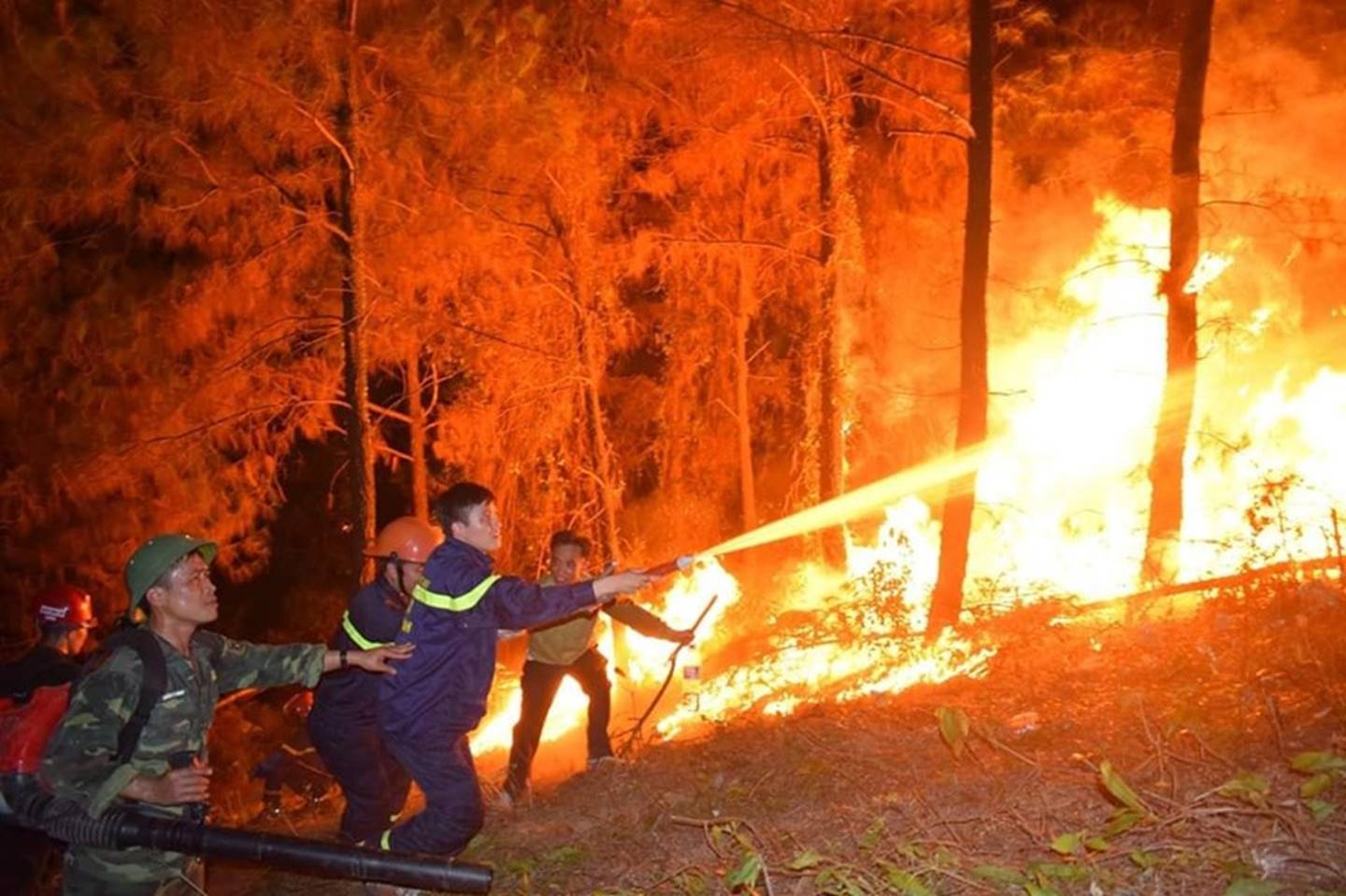 Đối tượng gây ra vụ cháy rừng nghiêm trọng ở Hà Tĩnh khai gì tại cơ quan điều tra?-1