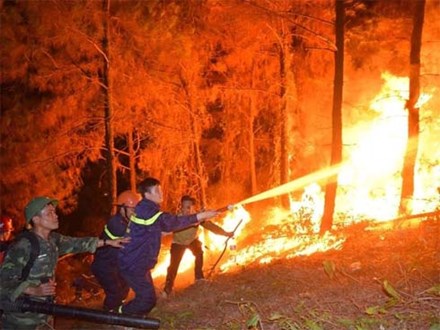 Đối tượng gây ra vụ cháy rừng nghiêm trọng ở Hà Tĩnh khai gì tại cơ quan điều tra?