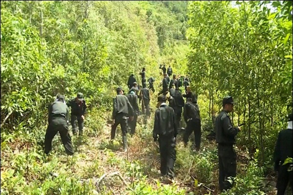 Quảng Bình lại xảy ra cháy rừng, 500 người nỗ lực vẫn chưa khống chế được lửa-2