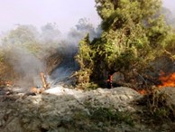 Quảng Bình lại xảy ra cháy rừng, 500 người nỗ lực vẫn chưa khống chế được lửa