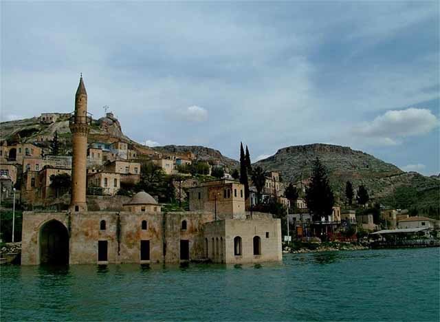 Nơi duy nhất trên thế giới tồn tại hoa hồng đen huyền bí-1