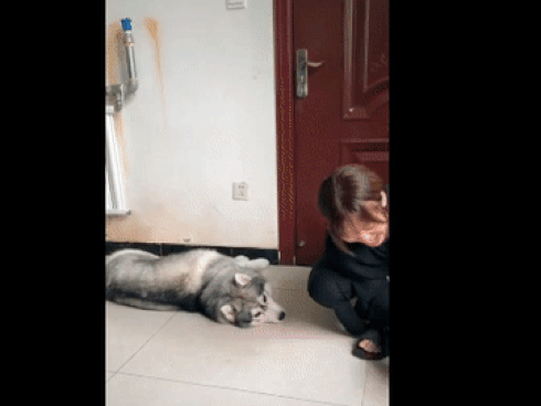 Đừng thấy người ta hiền mà 'được đà lấn tới'!