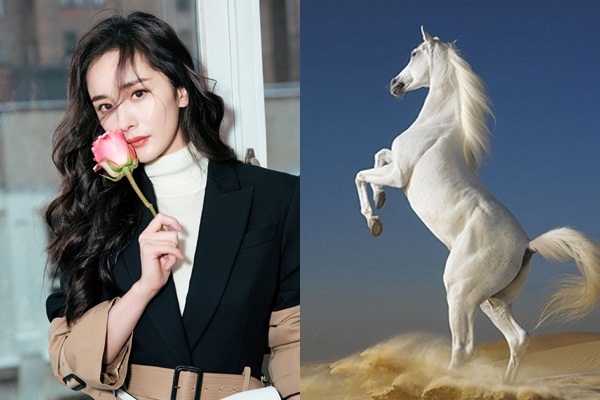 3 con giáp tình tiền nở rộ trong 15 ngày tới, chạy không khỏi cơn mưa tài lộc-2