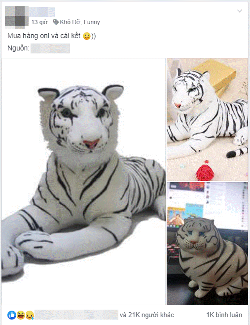 Chuyện đó có ai ngờ: Gặp thảm họa mua hàng online, dân mạng không những chẳng phẫn nộ mà còn khen lấy khen để-1