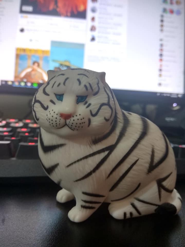 Chuyện đó có ai ngờ: Gặp thảm họa mua hàng online, dân mạng không những chẳng phẫn nộ mà còn khen lấy khen để-4