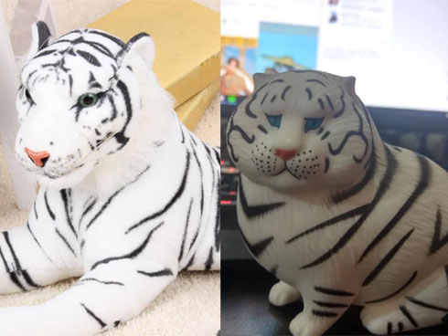 Mua được cua rẻ, thanh niên ngao ngán phát hiện sự thật sau khi mở dây buộc-4