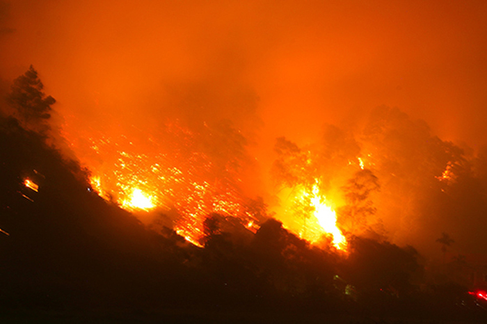 Phan Anh lên tiếng trước chỉ trích khóc nhà thờ Đức Bà, thờ ơ cháy rừng VN-1