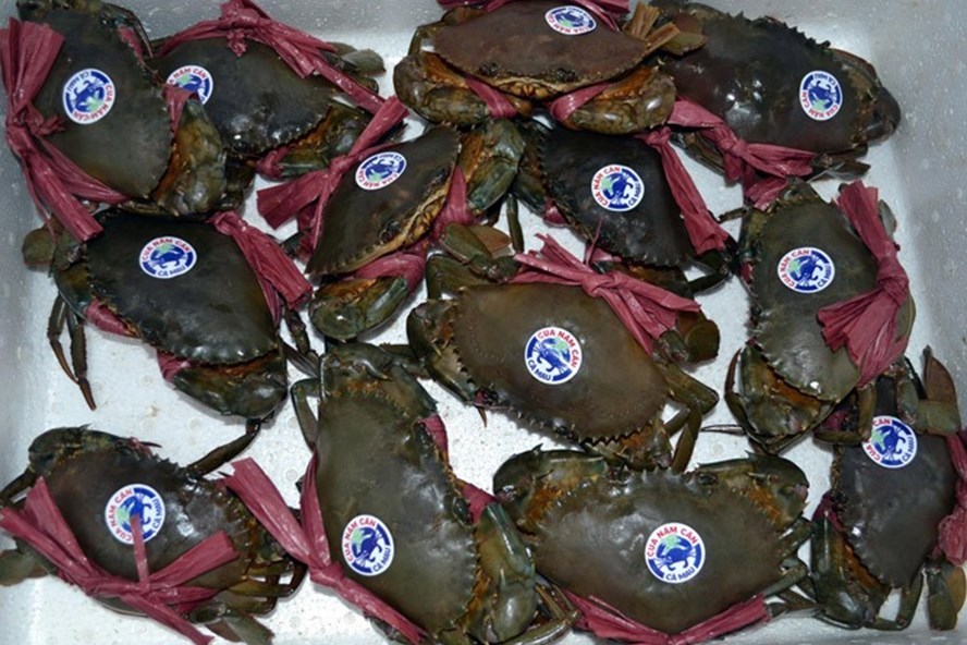 Thật, giả cua Cà Mau: Làm cách nào để mua được cua ngon?-1