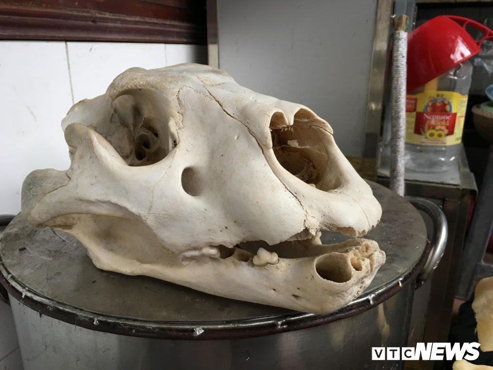 Kỹ nghệ nấu cao hổ, trò lừa tinh vi và những cách ghê rợn đưa hổ về Việt Nam-3