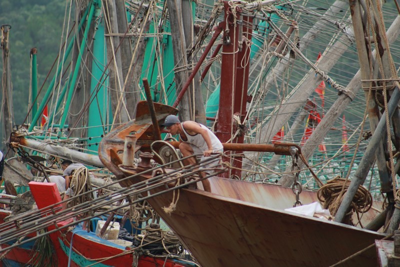 Vụ 9 ngư dân mất tích: Ước mơ xót xa của những thiếu niên bỏ học từ 15 tuổi theo bố bám biển mưu sinh-6