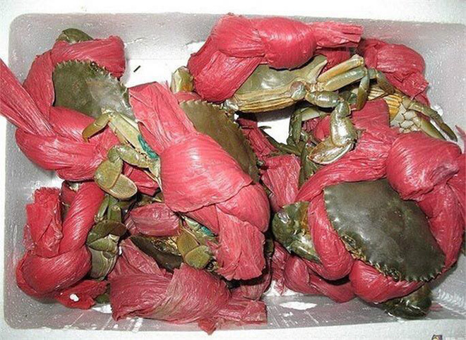 Mua được cua rẻ, thanh niên ngao ngán phát hiện sự thật sau khi mở dây buộc-3