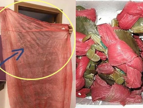 Mua được cua rẻ, thanh niên ngao ngán phát hiện sự thật sau khi mở dây buộc