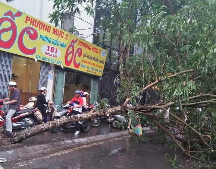 Ảnh hưởng của bão số 2, mưa giông ngã cây đè 1 người bị thương ở Hà Nội-1