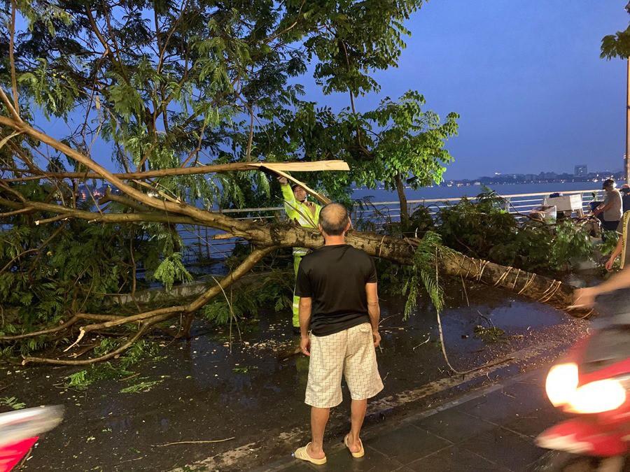 Ảnh hưởng của bão số 2, mưa giông ngã cây đè 1 người bị thương ở Hà Nội-3