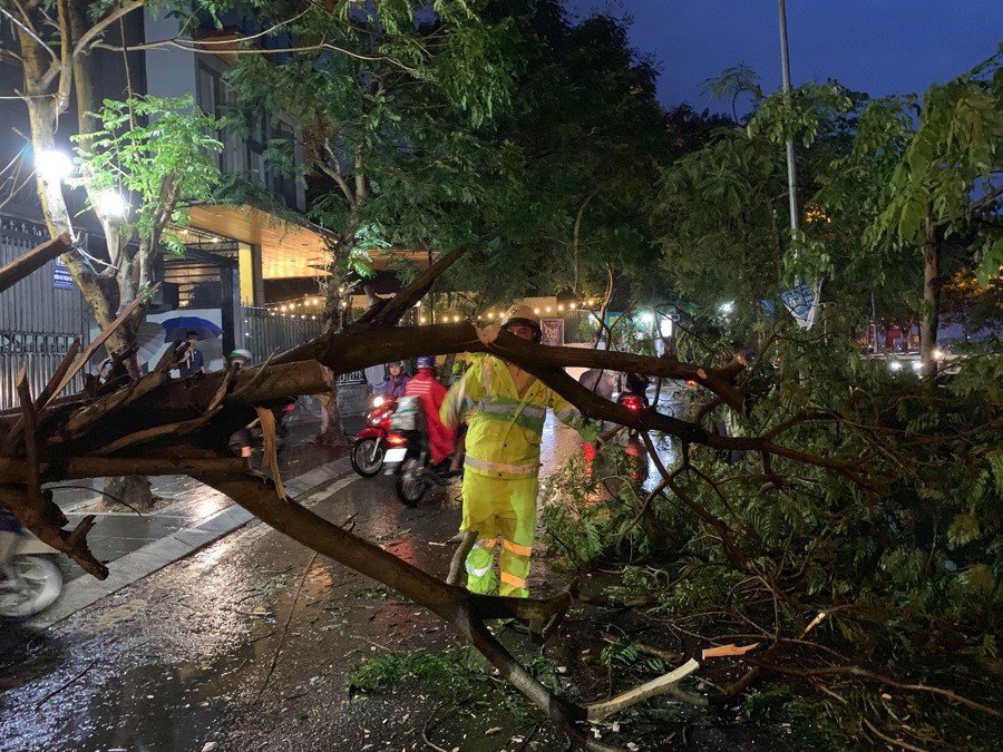 Ảnh hưởng của bão số 2, mưa giông ngã cây đè 1 người bị thương ở Hà Nội-4