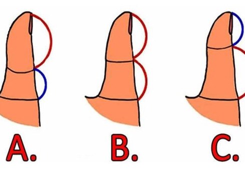 So sánh độ dài 2 đốt ngón tay cái biết ngay tính cách, đường tình duyên lận đận hay suôn sẻ