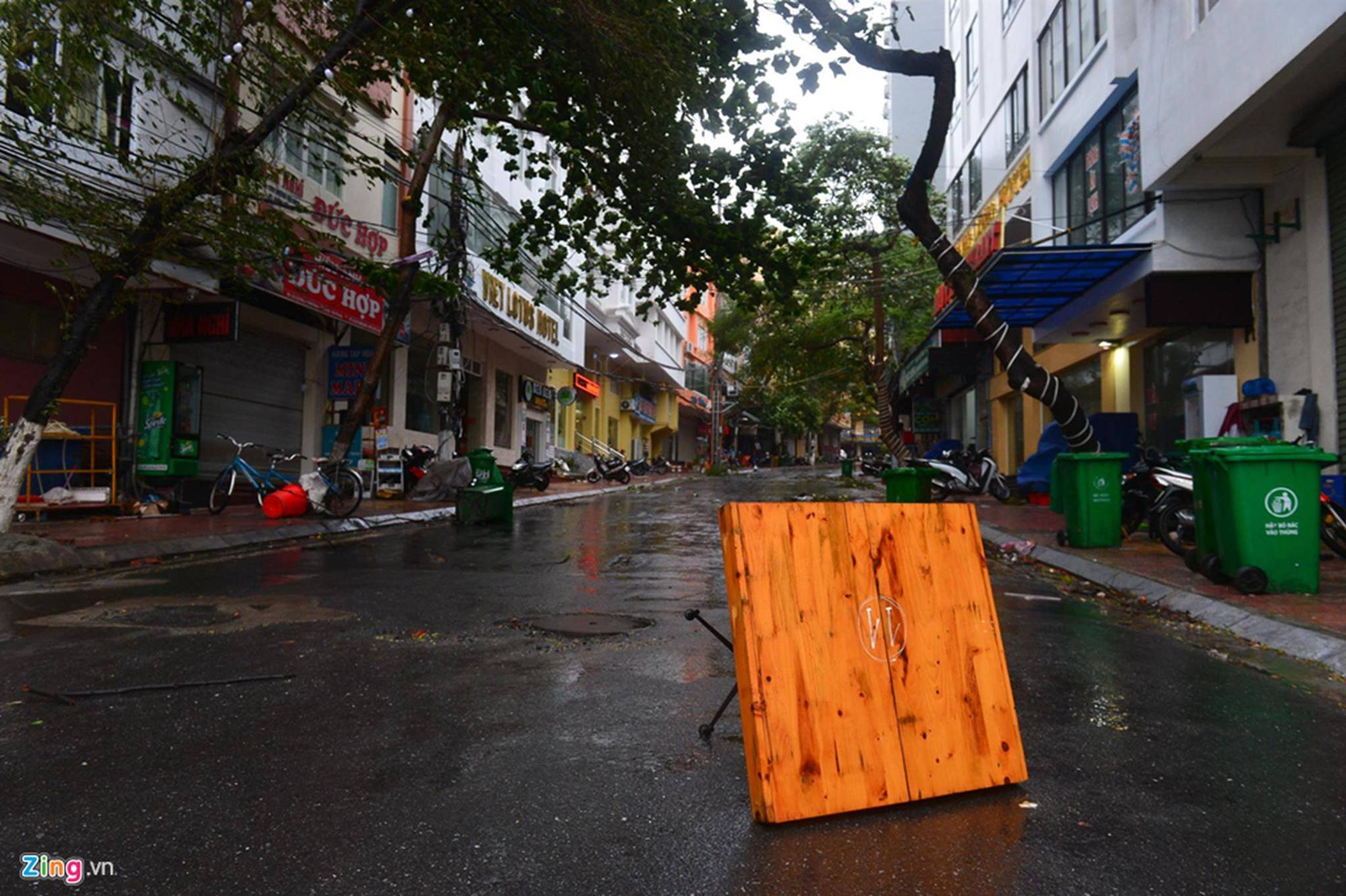 Cảnh ngổn ngang sau bão số 2 trên đảo Cát Bà-3