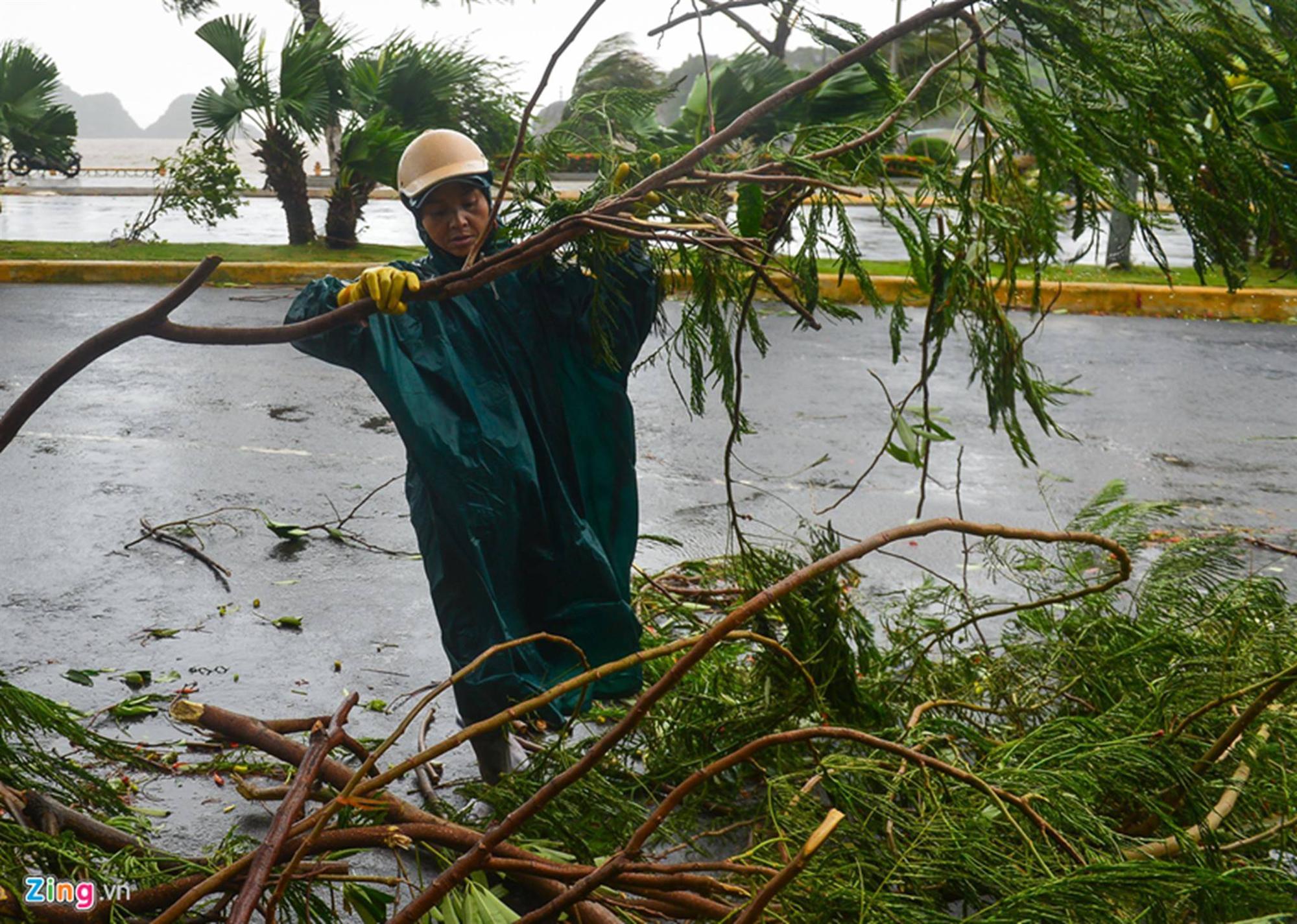 Cảnh ngổn ngang sau bão số 2 trên đảo Cát Bà-6