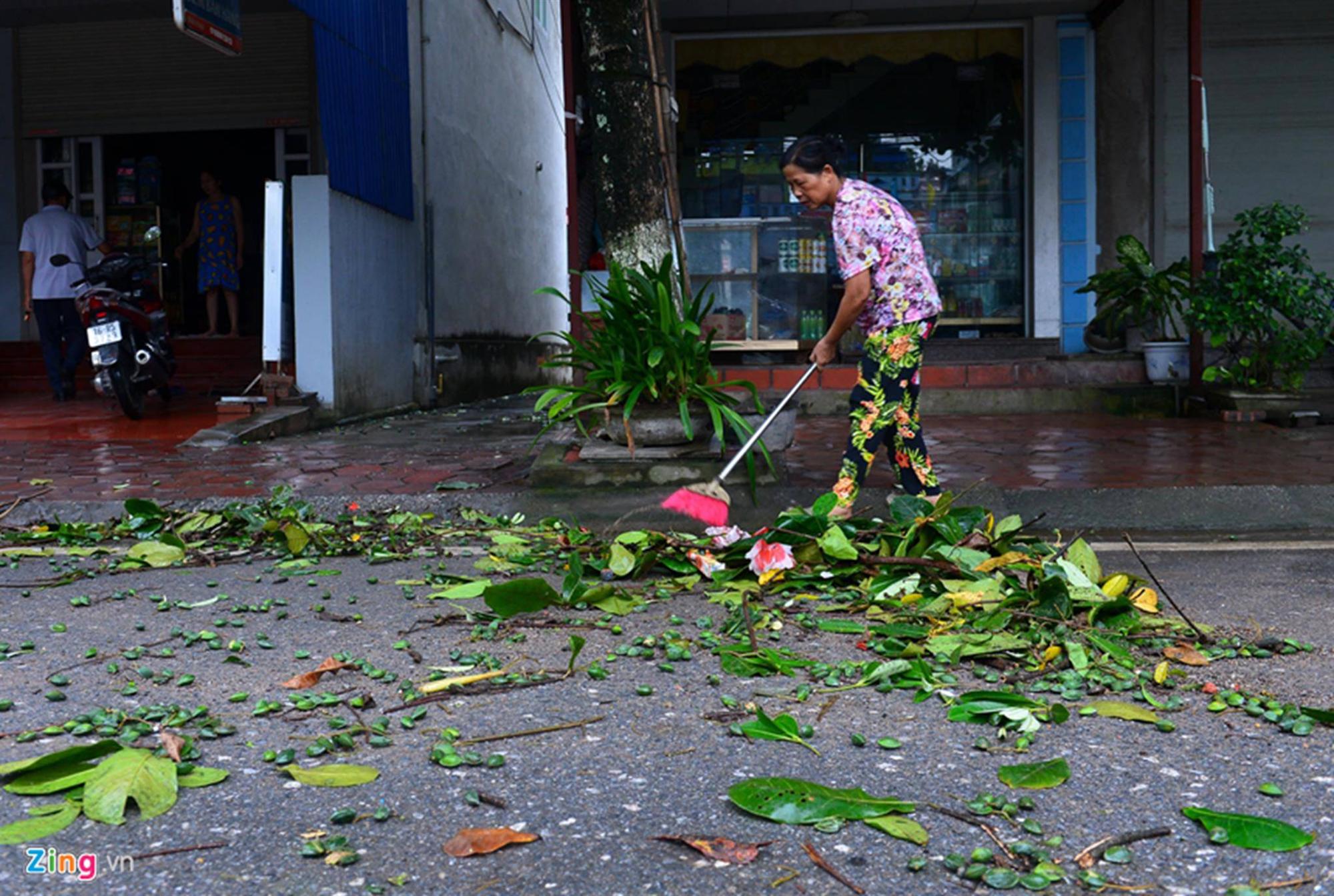 Cảnh ngổn ngang sau bão số 2 trên đảo Cát Bà-7