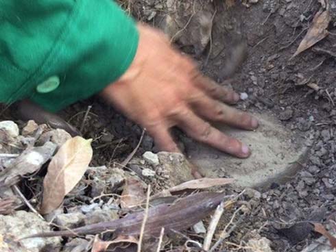 Kết luận bất ngờ vụ hơn 300 thi thể thai nhi ở nhà máy rác-2