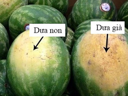 Bỏ túi chiêu đơn giản: Nhìn 3 giây biết ngay trái cây chứa hóa chất hay không, người bán hàng cũng nể phục-2