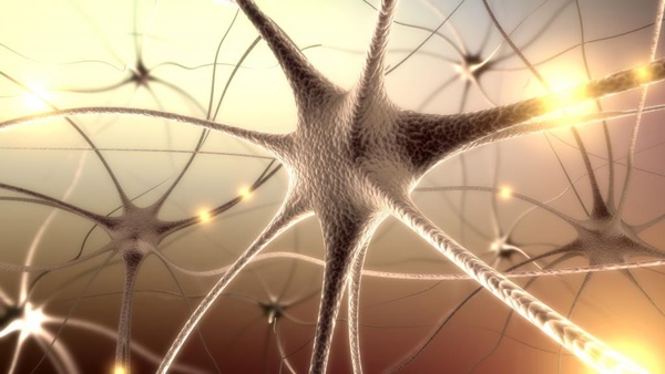 Căn bệnh khiến diễn viên Tùng Dương phải nhập viện vì co giật liên tục nguy hiểm thế nào?-2