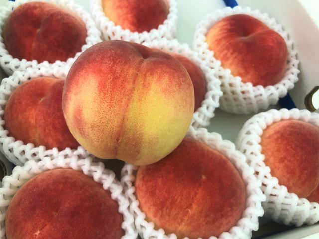 Đào tiên Nhật Bản gần 2 triệu đồng/kg, cắn răng mua cả thùng… đi biếu-1