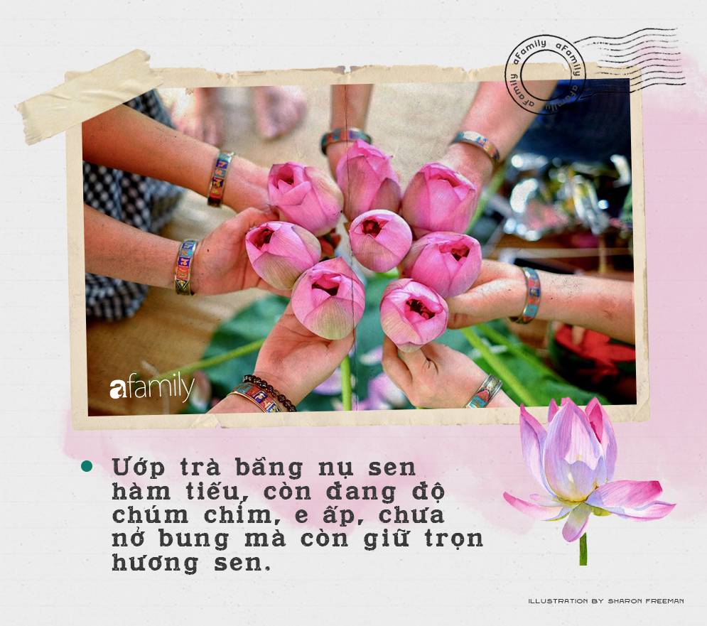 Cô gái Hà Nội hướng dẫn cách ướp trà sen thơm ngát chuẩn ngon đến người lười cũng làm theo được-3