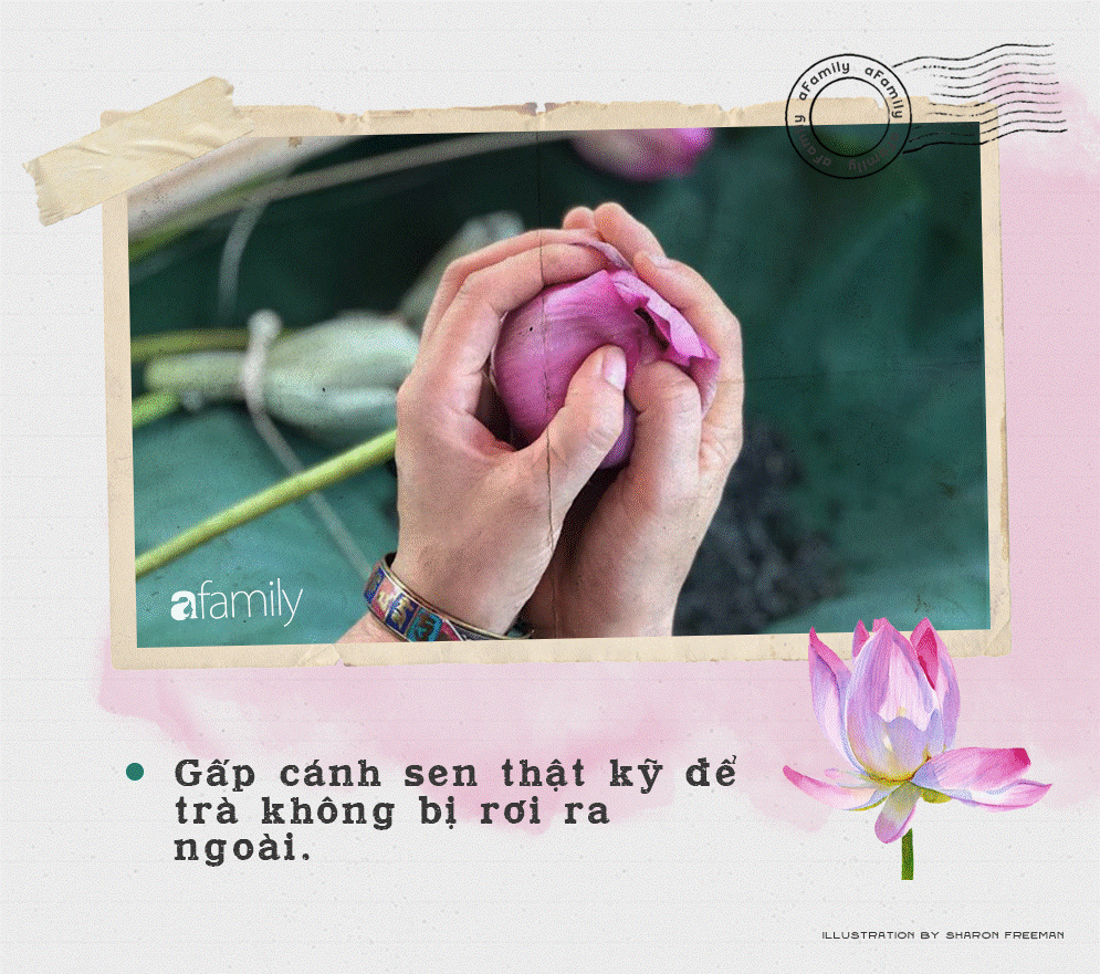 Cô gái Hà Nội hướng dẫn cách ướp trà sen thơm ngát chuẩn ngon đến người lười cũng làm theo được-6