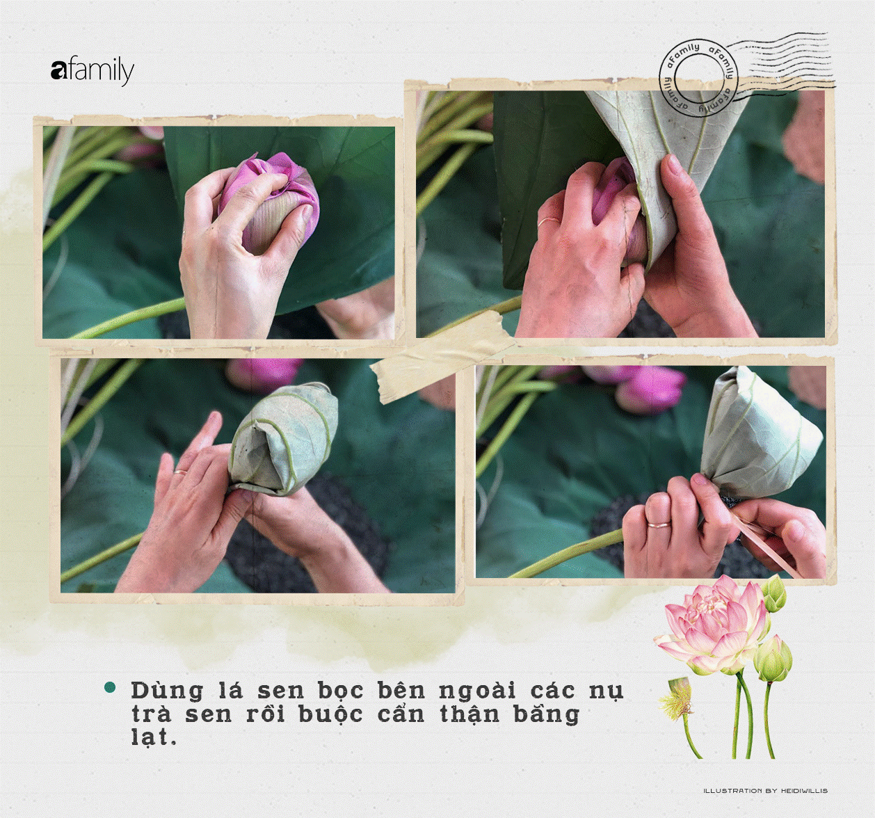 Cô gái Hà Nội hướng dẫn cách ướp trà sen thơm ngát chuẩn ngon đến người lười cũng làm theo được-7