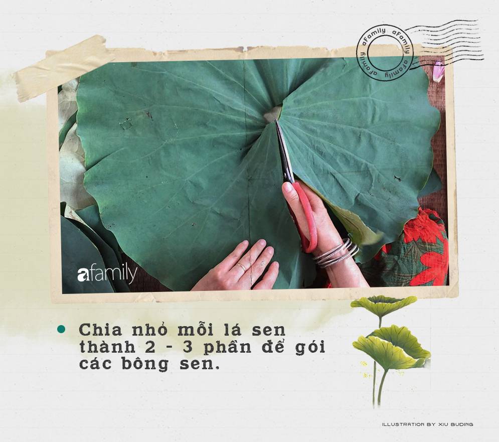 Cô gái Hà Nội hướng dẫn cách ướp trà sen thơm ngát chuẩn ngon đến người lười cũng làm theo được-4