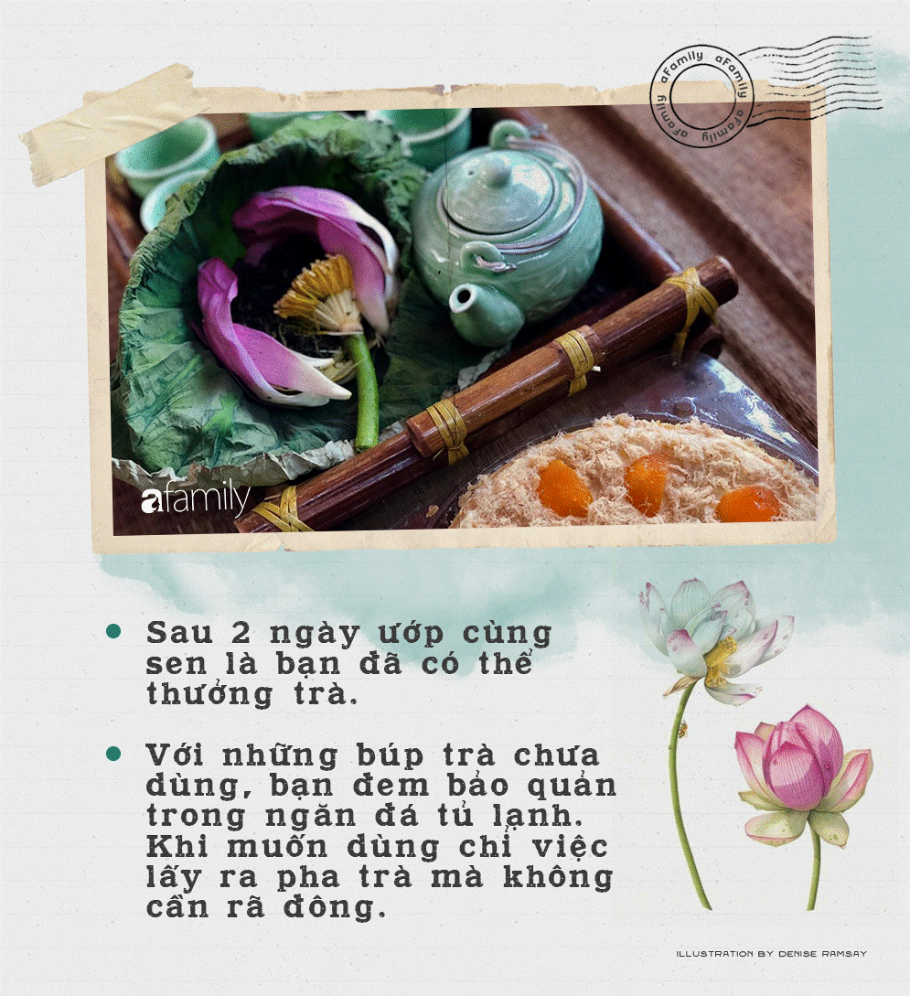 Cô gái Hà Nội hướng dẫn cách ướp trà sen thơm ngát chuẩn ngon đến người lười cũng làm theo được-8