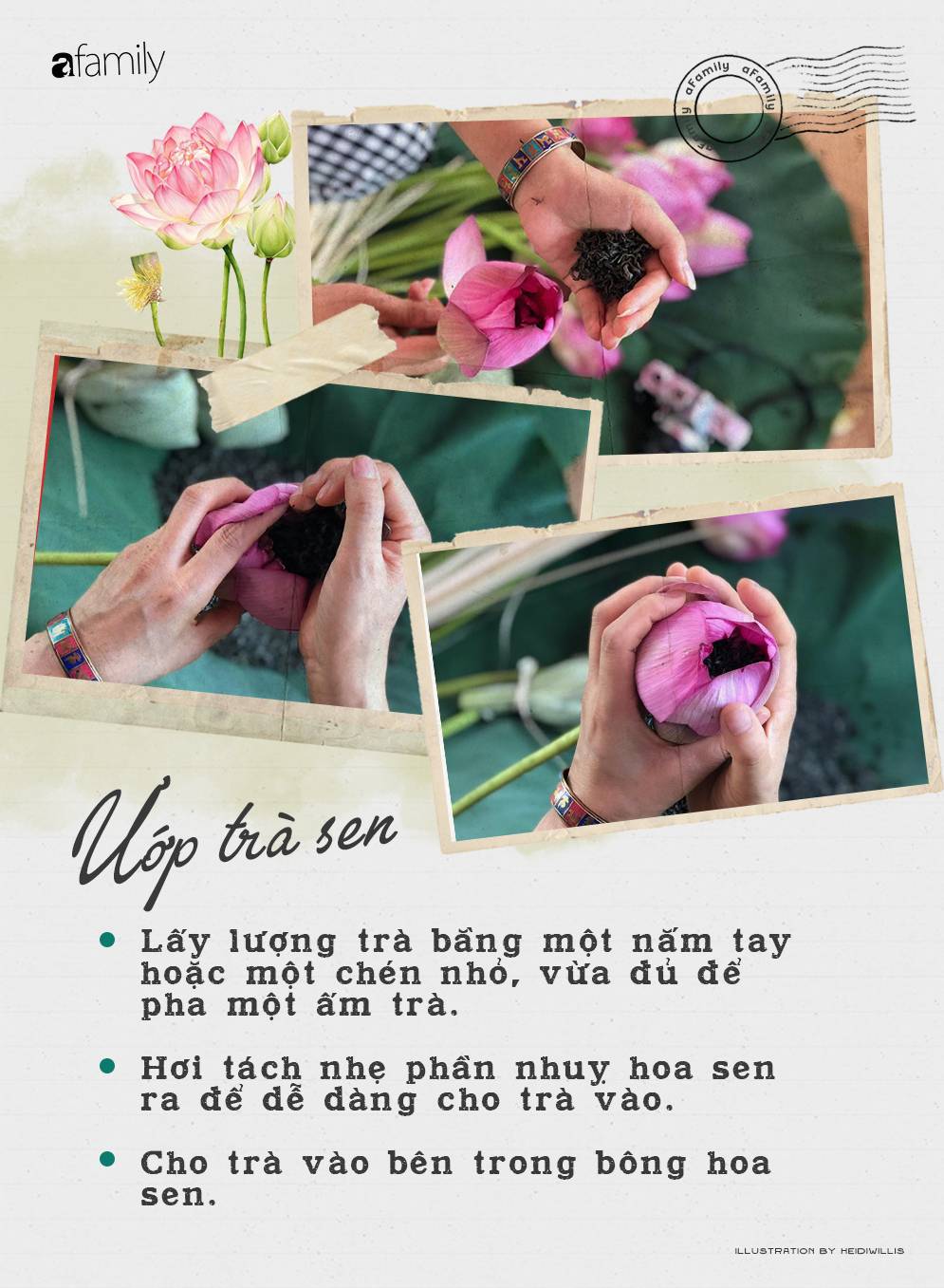 Cô gái Hà Nội hướng dẫn cách ướp trà sen thơm ngát chuẩn ngon đến người lười cũng làm theo được-5