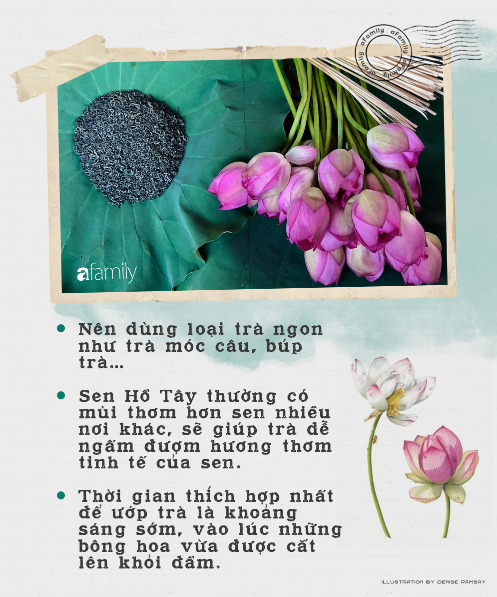 Cô gái Hà Nội hướng dẫn cách ướp trà sen thơm ngát chuẩn ngon đến người lười cũng làm theo được-2