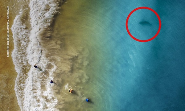 Ra bãi biển chụp ảnh flycam làm kỷ niệm, ông bố nhiếp ảnh gia không ngờ cứu cả gia đình thoát khỏi tử thần trong gang tấc-1