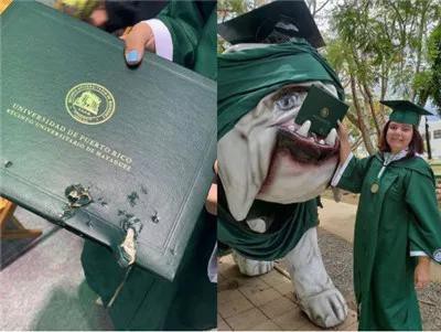 Mải mê chụp ảnh với đám bạn, nữ sinh vô ý bị chú chó Bull Anh cắn rách bằng tốt nghiệp-1
